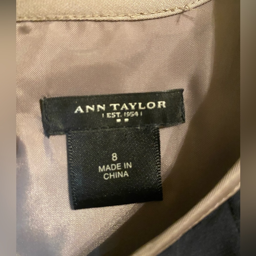 Ann Taylor Sleeveless Dress - Picture 9 of 9